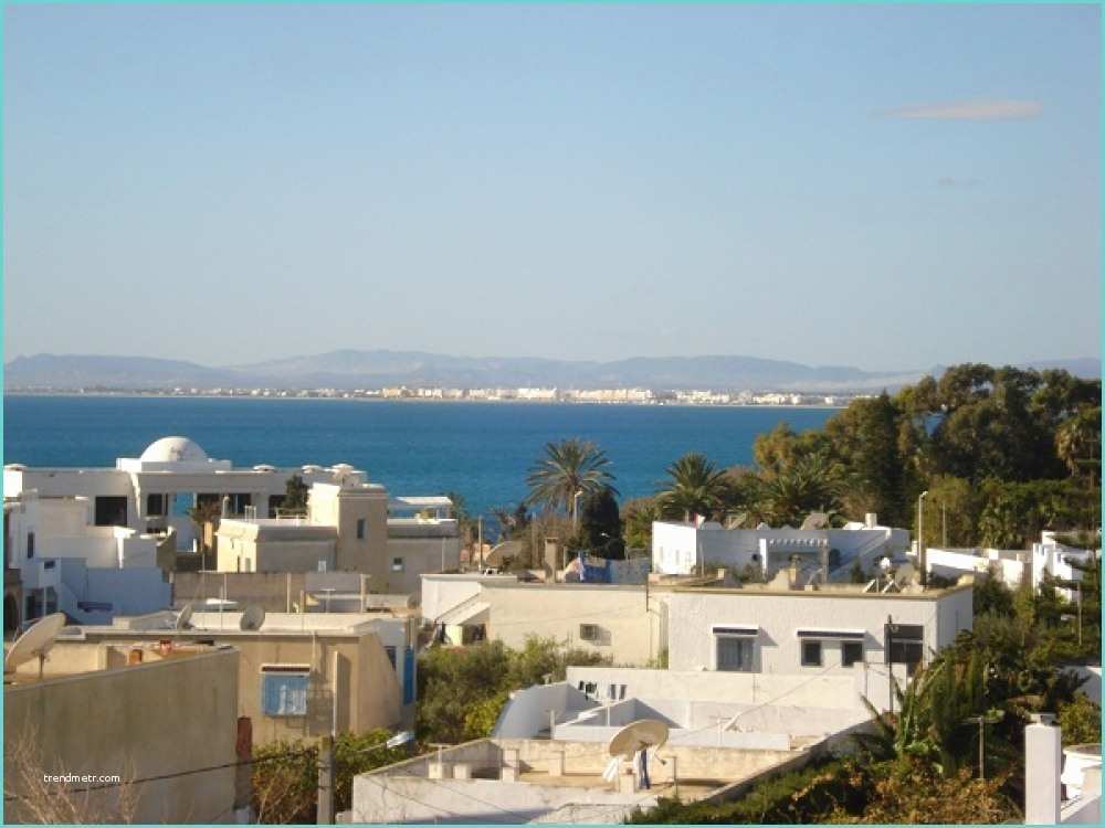Agence Immobiliere Hammamet Tunisie Agence Immobiliere Hammamet Tunisie