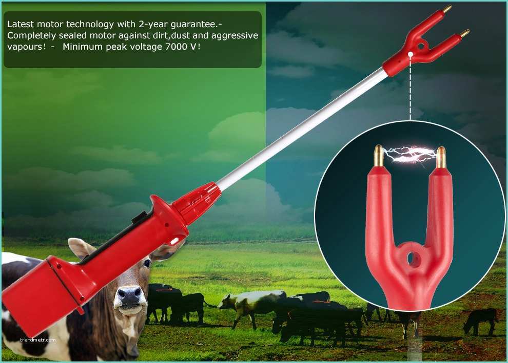 Alibaba Manufacturer Directory Suppliers Electric Cattle Prod Voltage Daily Quotes