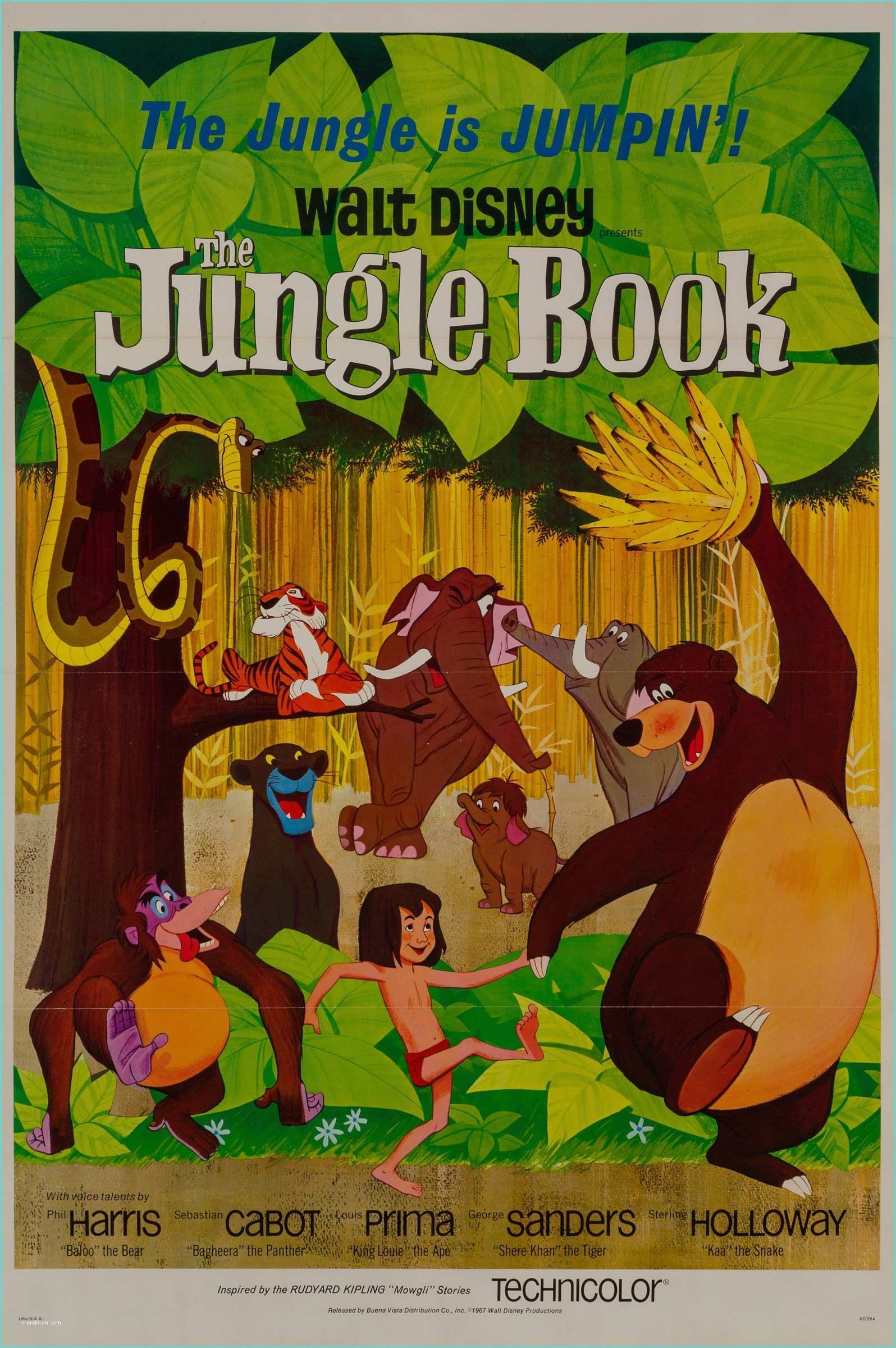 Allposters Return Policy the Jungle Book 1967