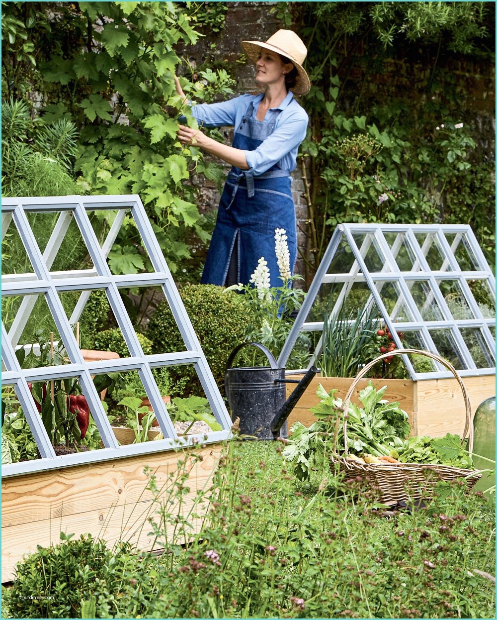 Amnager son Jardin Avec De La Rcup Créer Des Serres Pour Faire Pousser Les tomates Dans son
