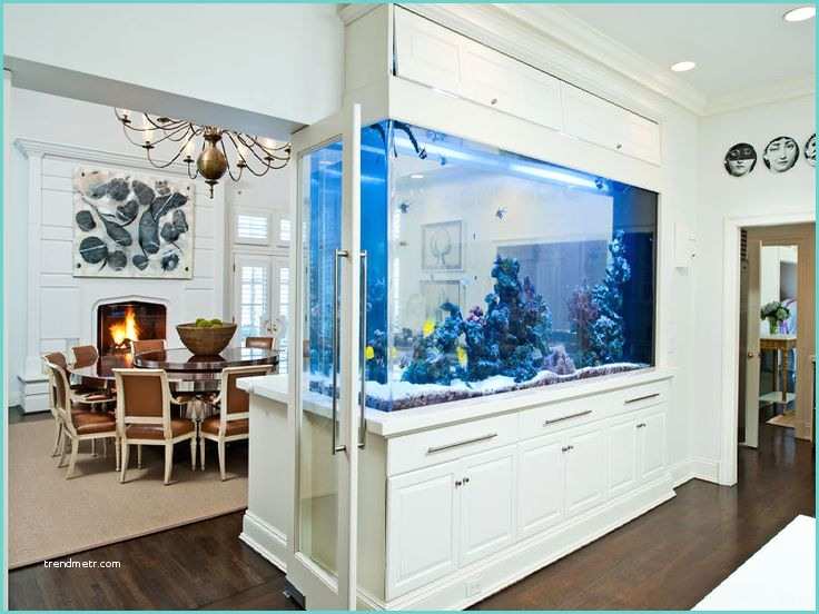Aquarium Separation De Piece 8 Extremely Interesting Places to Put An Aquarium In Your Home
