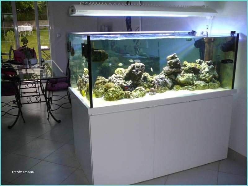 Aquarium Separation De Piece Sur Mesure