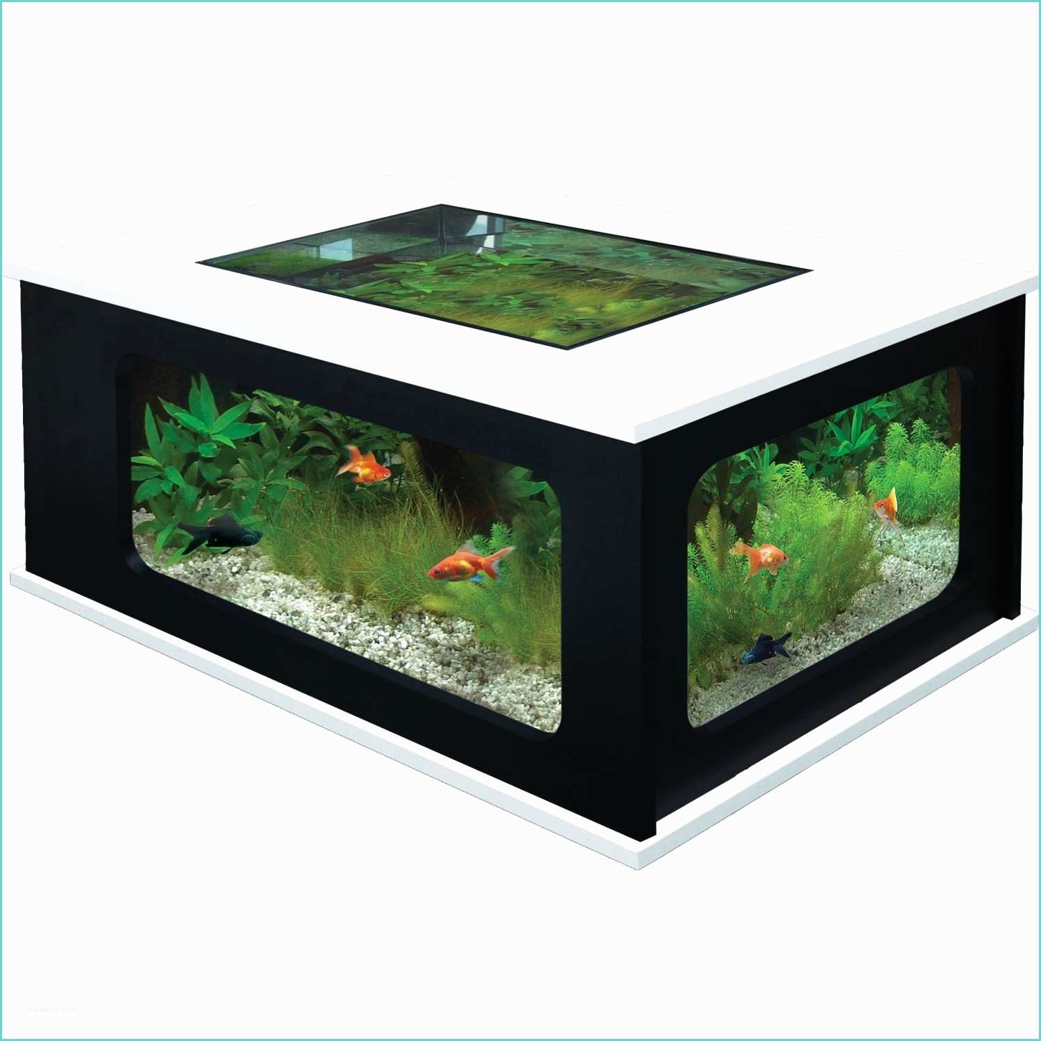 Bar Avec Aquarium Intgr Table Basse Avec Aquarium Intégré – Table De Lit