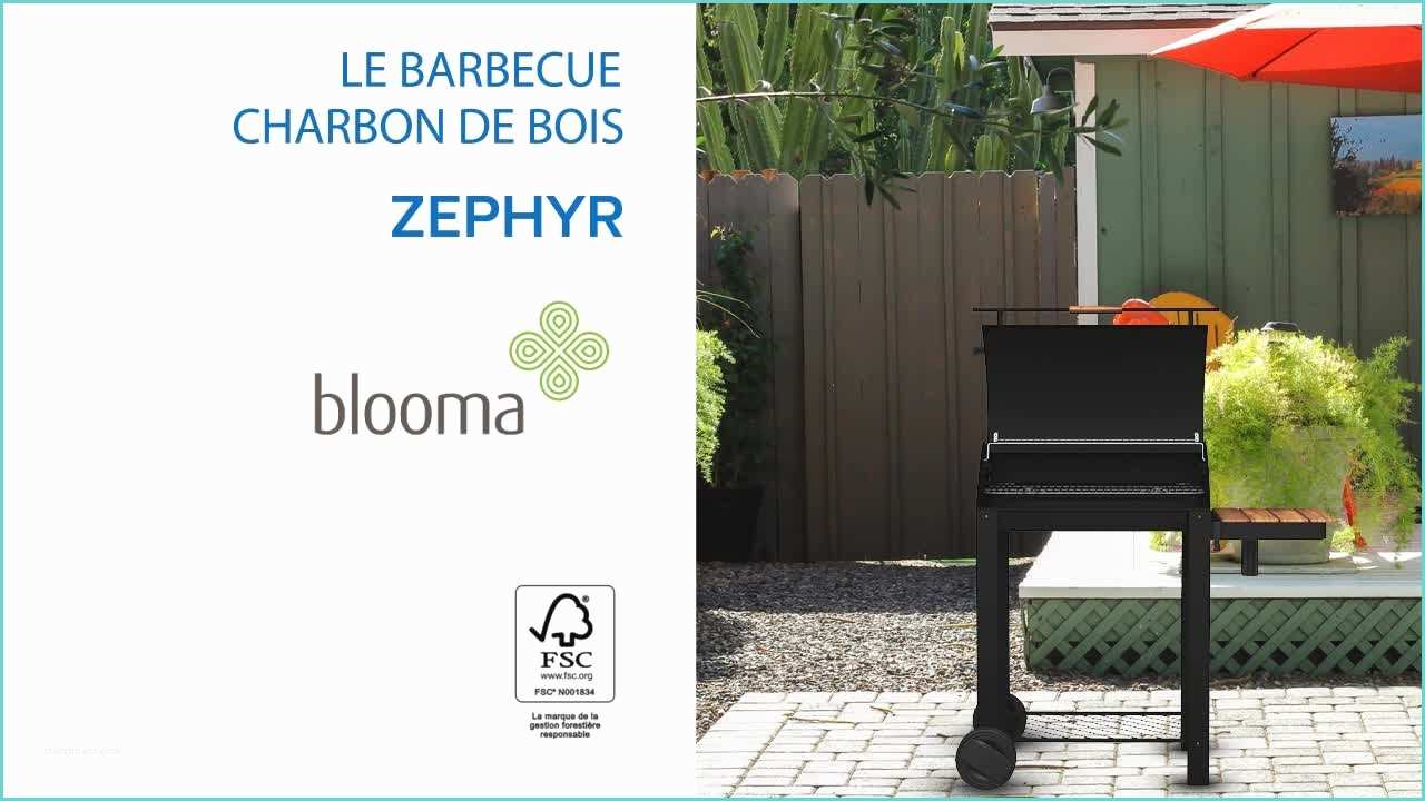 Bbq Charbon De Bois Barbecue Charbon De Bois Zephyr Blooma Castorama