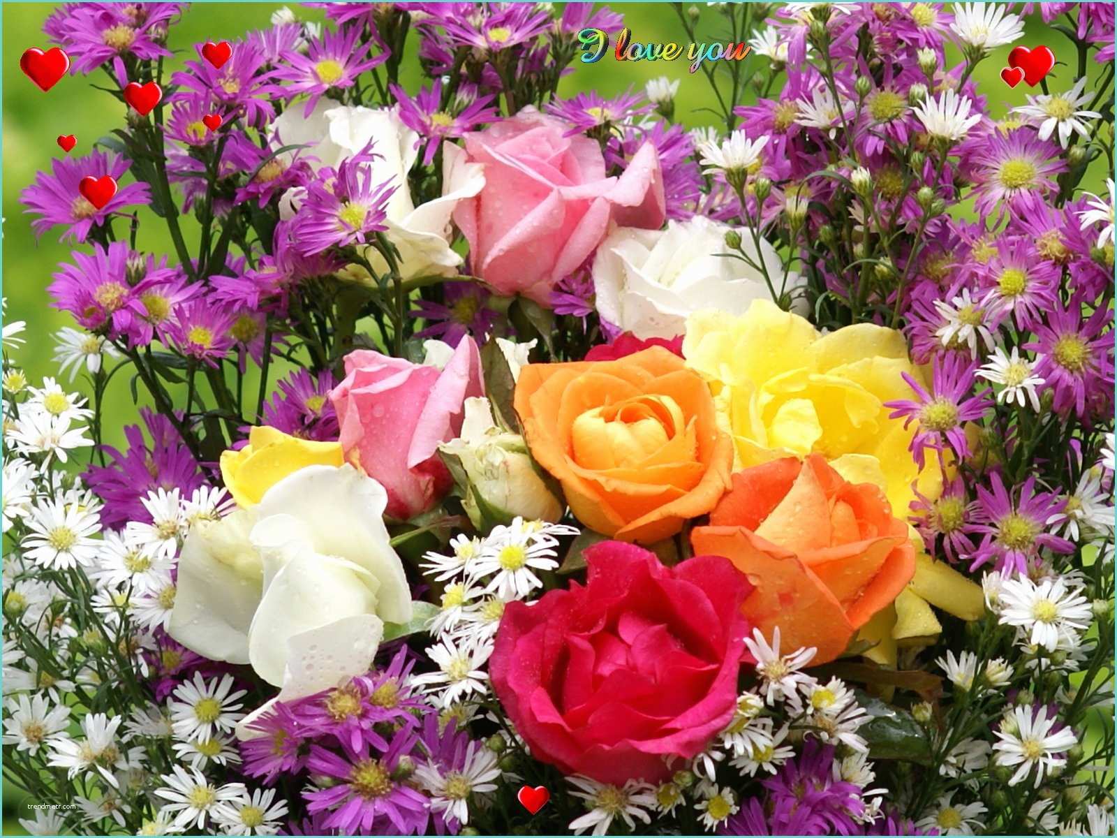 Belles Images Pour Fond Dcran Fonds D écran Amour Fond Coeurs Avec Belles Roses