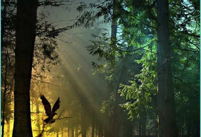 Belles Images Pour Fond Dcran Les Plus Belles Fonds D’écran Paysage En 45 Photos