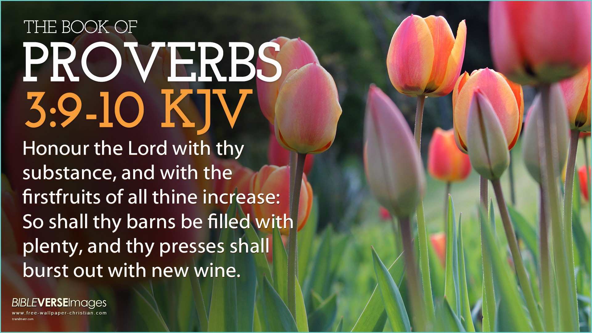 Bible Kjv Verses King James Version Quotes Quotesgram