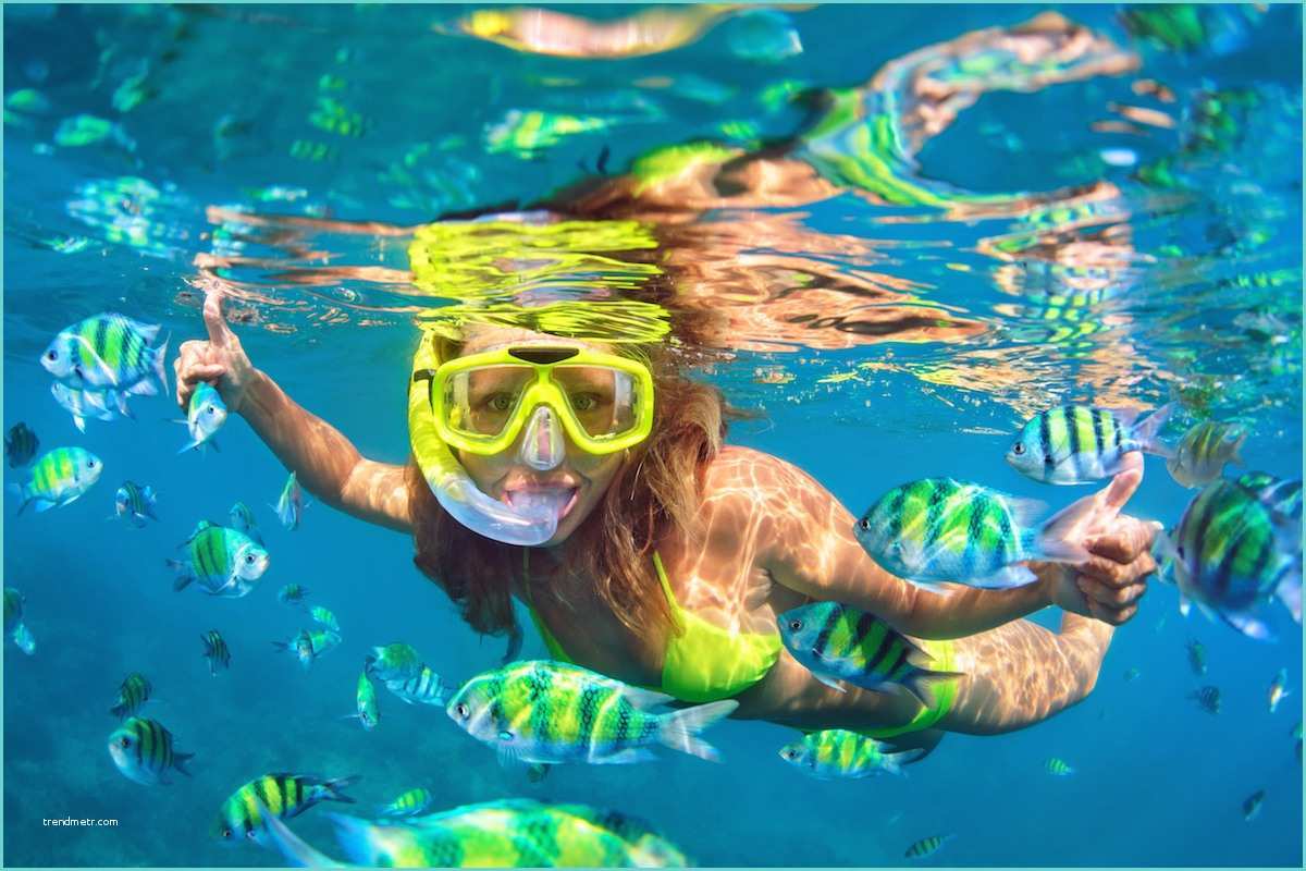 Bigstock Promo Code Best Places to Snorkel In the U S Hotelcoupons