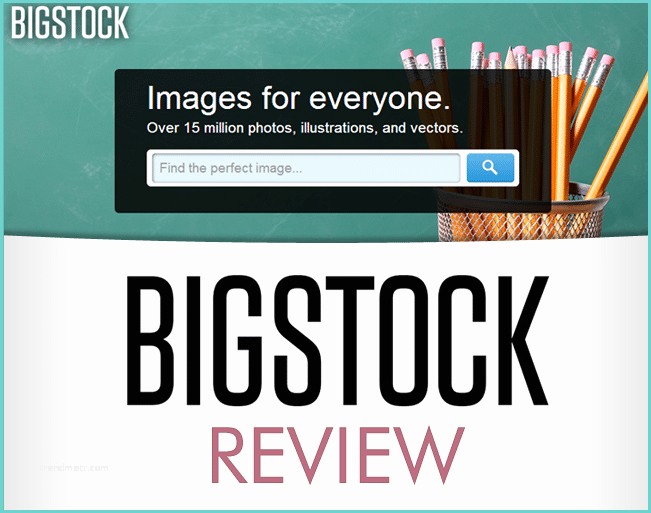 Bigstock Promo Code Bigstock Review for Vector Buyers Vectorguru