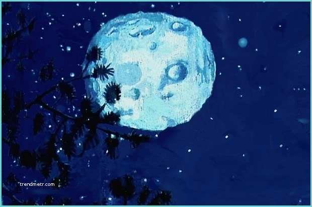 Black Desert Moon Pearl Jeromeprophet Moon and Stars In Trees