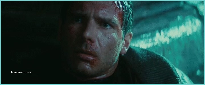 Blade Runner Placo Brico Depot Blade Runner Final Scene "tears In Rain" Monologue Hd