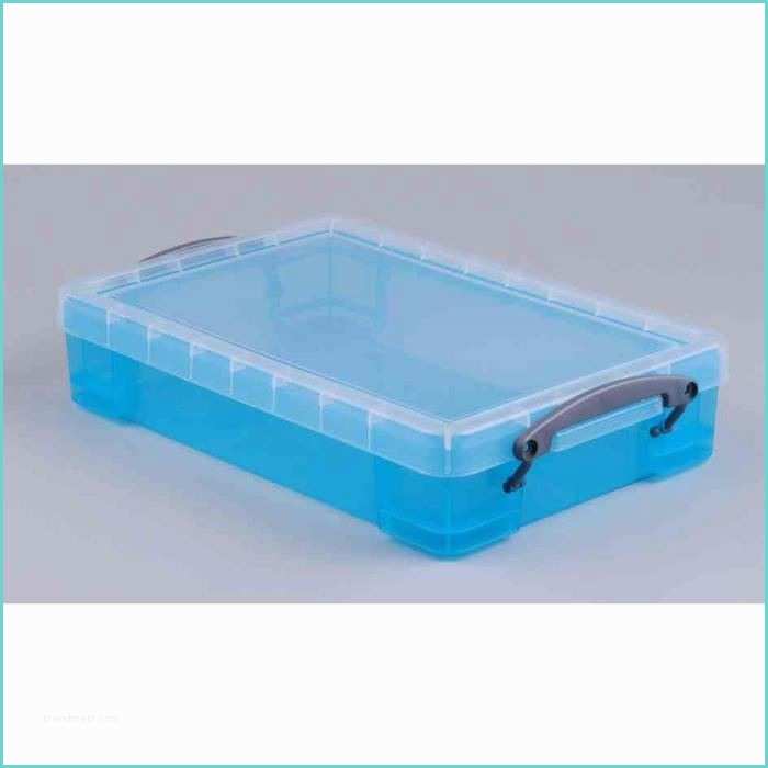 Boite De Rangement En Plastique Boîte Plastique 4 L Transparent Bleu Recyclé Achat
