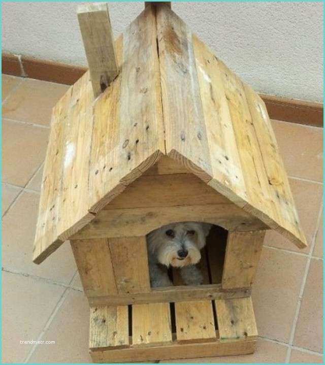 Box Per Cani Da Esterno Fai Da Te Cucce Fai Da Te Per Cani Foto 5 31