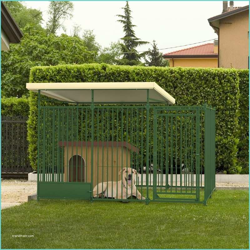 Box Per Cani Da Esterno Fai Da Te La Gestione Del Cane All’aperto Amici Con La Coda Bergamo