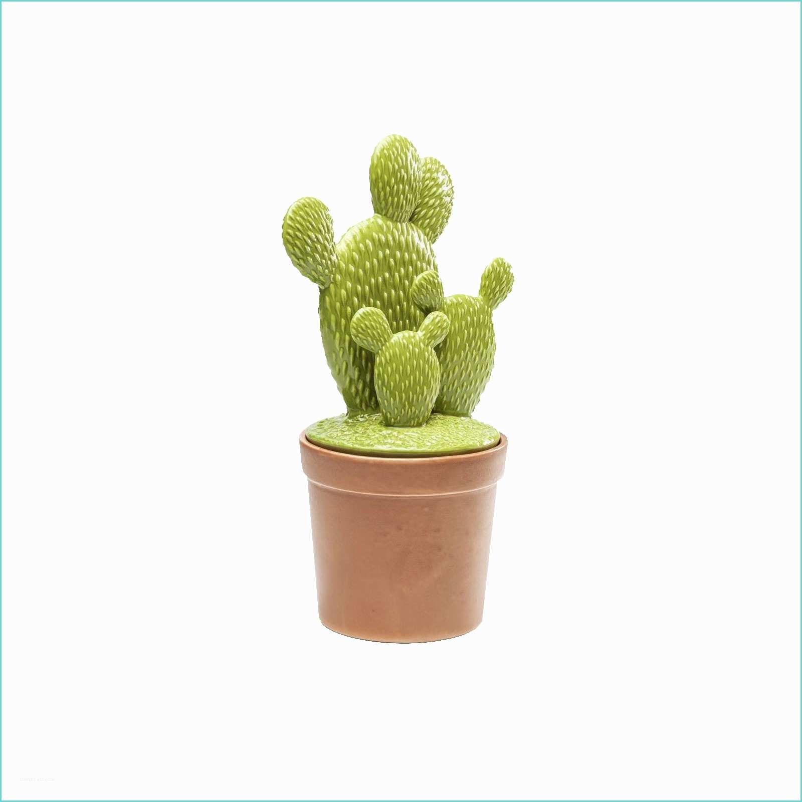 Cactus Deco Design Déco Cactus Pot Kare Design