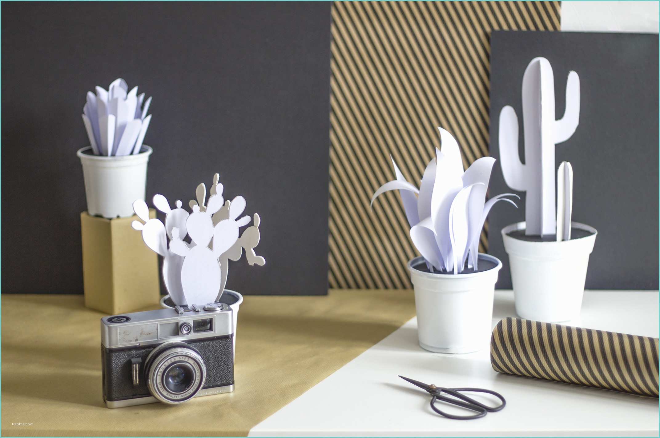 Cactus Deco Design [ Diy ] Des Cactus Graphiques En Papier La Délicate