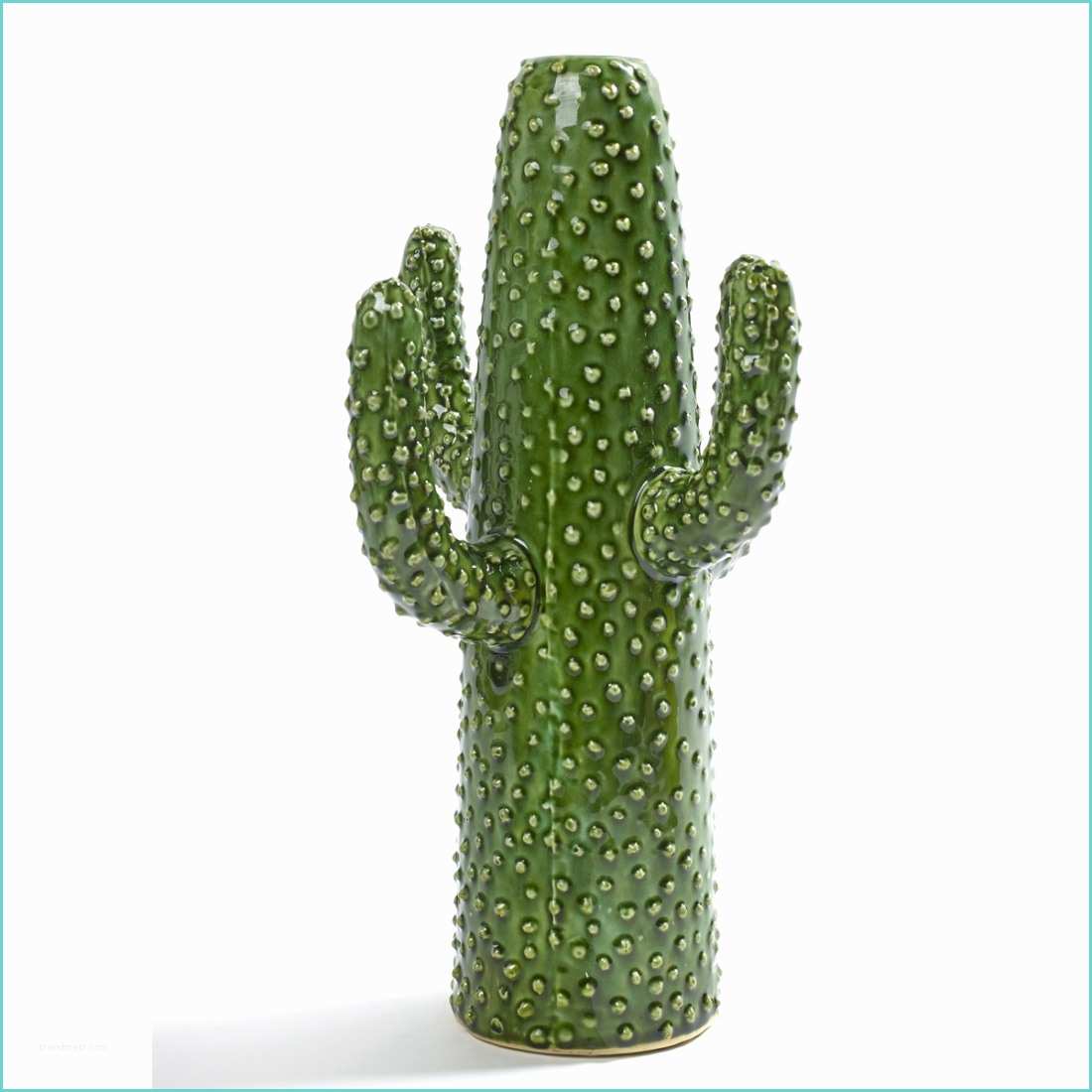 Cactus Deco Design Vase Design Déco Cactus Serax Zendart Design