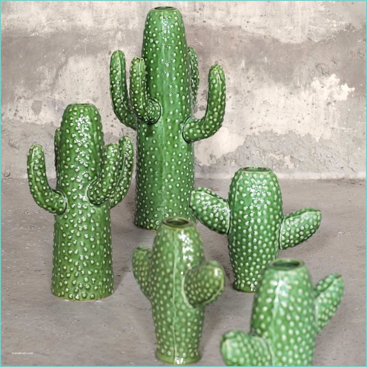 Cactus Deco Design Vase Design Déco Cactus Serax Zendart Design