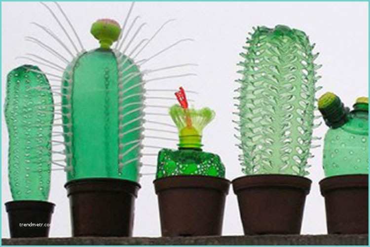 Cactus Fai Da Te 10 Modi Divertenti Per Riciclare Le Bottiglie Di Plastica