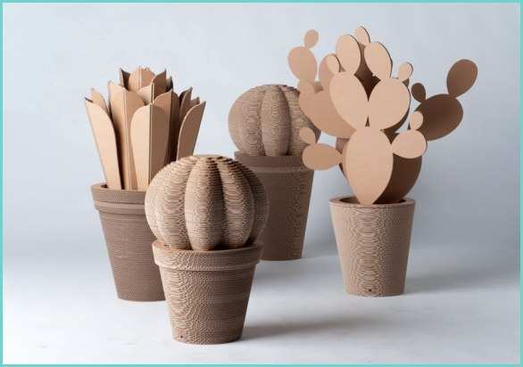 Cactus Fai Da Te Cactusnext Vaso In Cartone Ondulato L Idea Innovativa Per