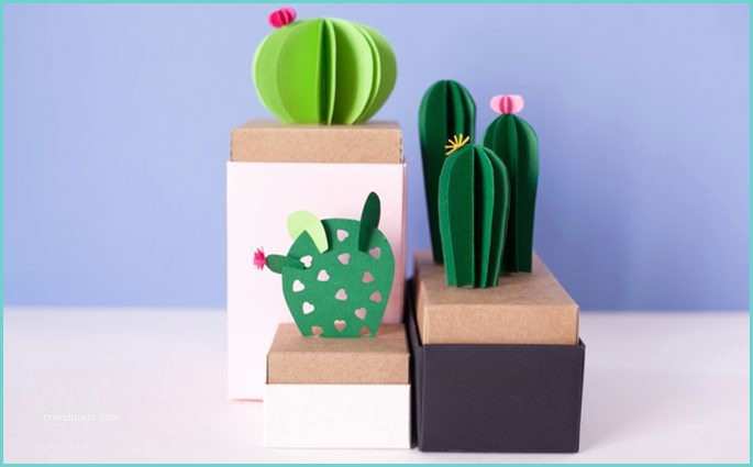 Cactus Fai Da Te Lavoretti Creativi Per Bambini Archivi E Piace A Te