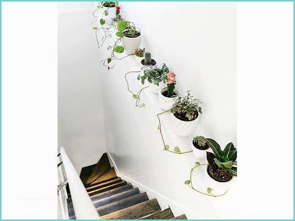 Cage D Escalier Deco Aligner Des Plantes Pour Colorer La Cage D Escalier Blanc