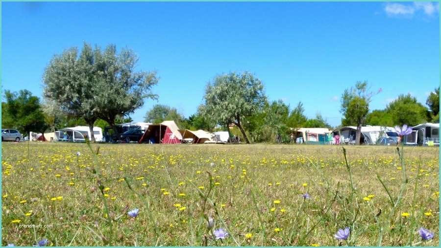 Camping Bouches Du Rhone Bord De Mer Avec Piscine Camping Félix De La Bastide à Massane En Provence Sud