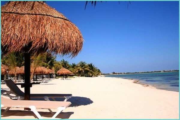 Cancun Pas Cher Hôtel Pavo Real Beach Resort Beachfront Cancun Mexique