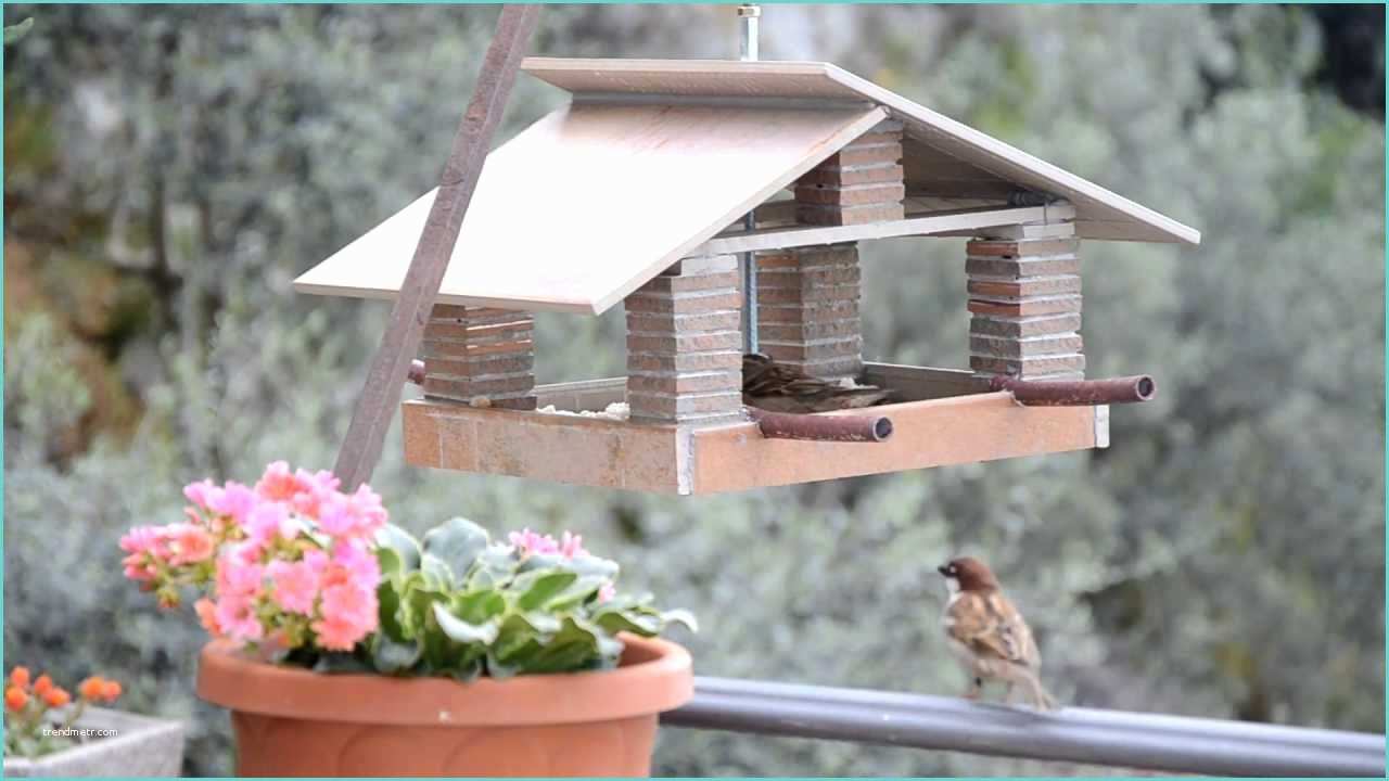 Case Per Uccelli Fai Da Te Casetta Mangiatoia Per Uccellini House Feeder Birds