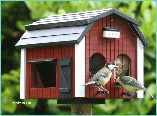 Case Per Uccelli Fai Da Te Fare Una Casa Per Gli Uccelli
