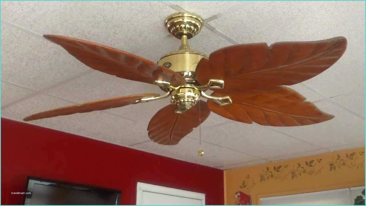 Ceiling Fan Hampton Bay Improving the Interior Of Your Home with Hampton Bay