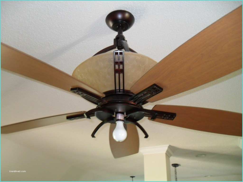 Ceiling Fan Hampton Bay why Hampton Bay Ceiling Fan Light Bulb Makes Your Home