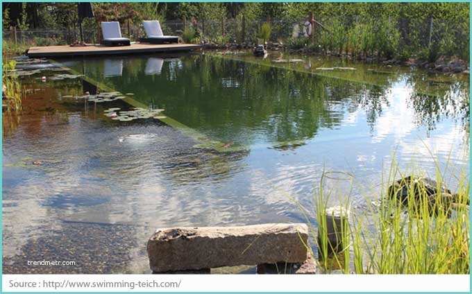 Centris Ca Find the Natural Pools 5 Things You Should Know Centris