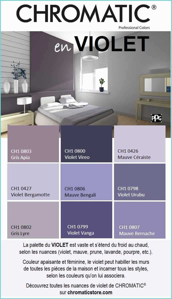 Chambre Grise Et Violette Chambre Gris Et Violet Perfect Couleur Peinture Gris
