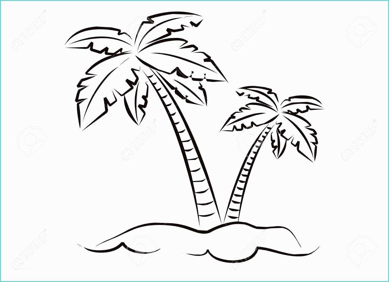 Coconut Tree Drawing Coconut Palm Tree Drawing at Getdrawings