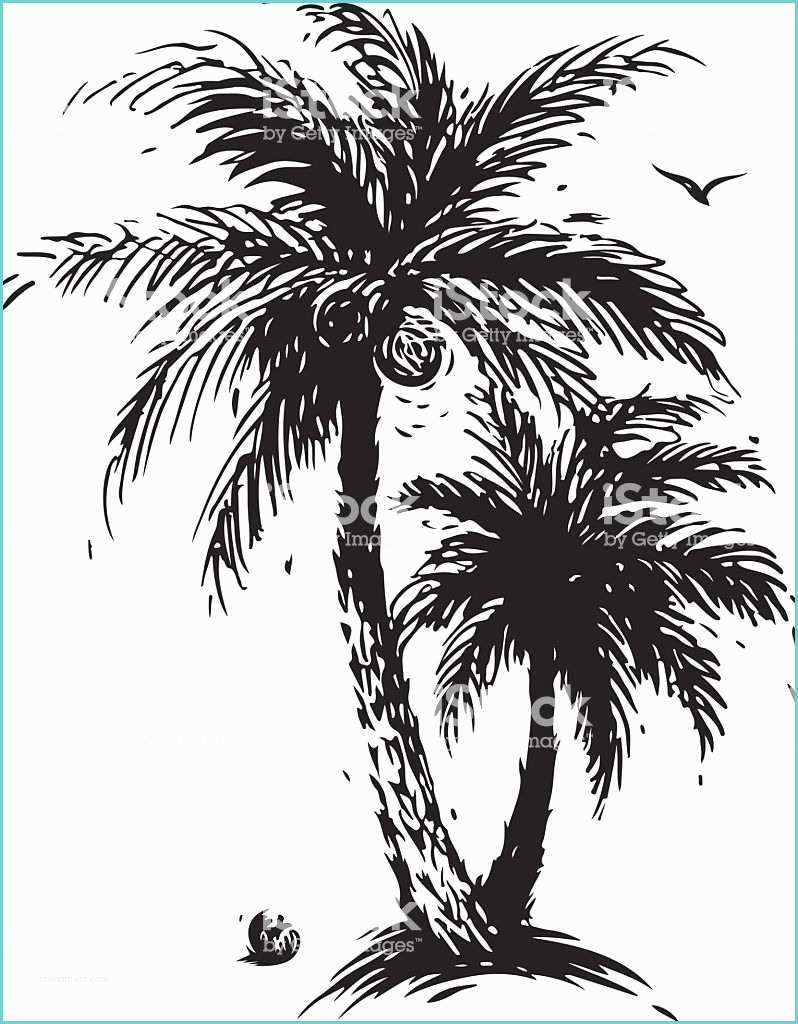 Coconut Tree Drawing Coconut Palm Tree Stock Vector Art & More Of 2015