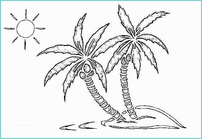 Coconut Tree Drawing Coconut Tree 5 Nature – Printable Coloring Pages