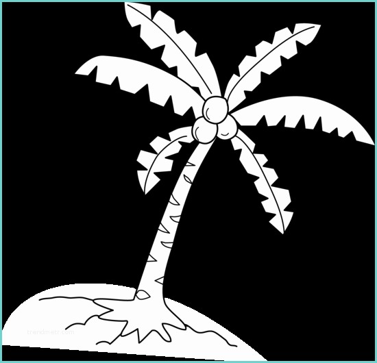 Coconut Tree Drawing Coconut Tree Coloring Page Free Clip Art