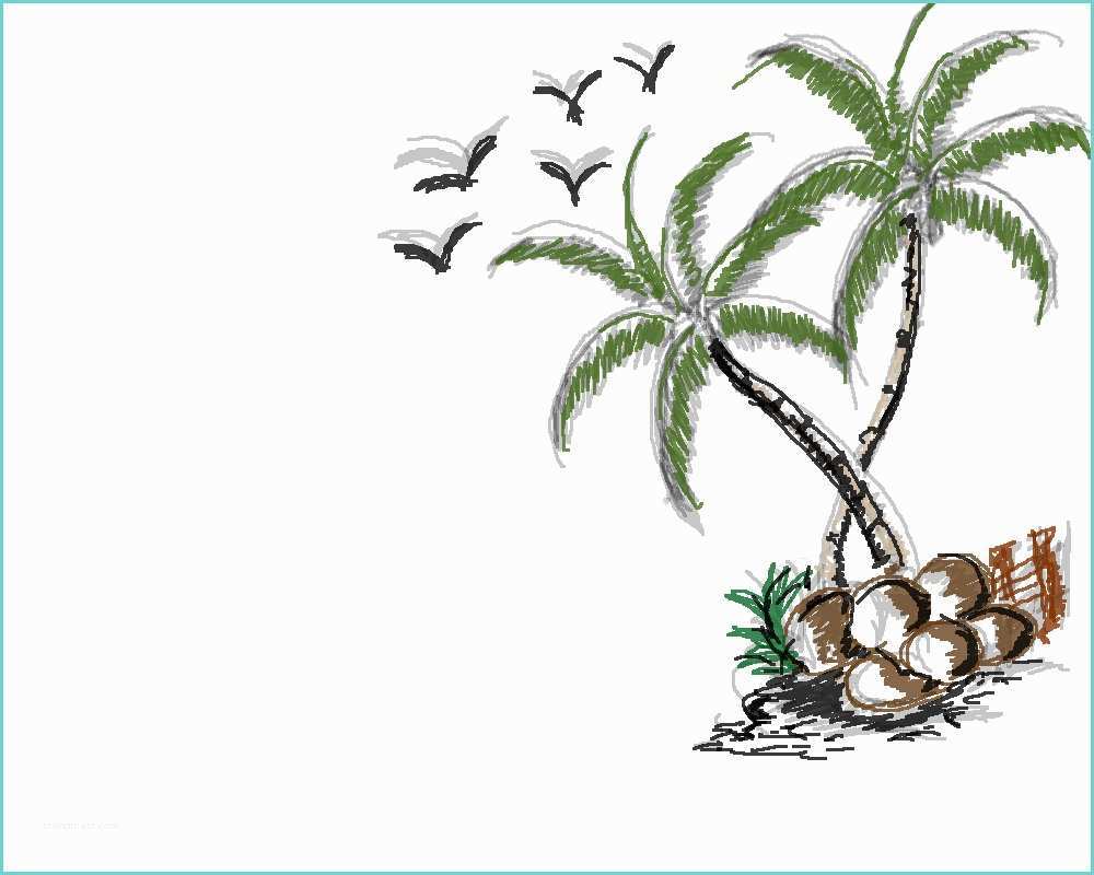 Coconut Tree Drawing Coconut Tree Drawing