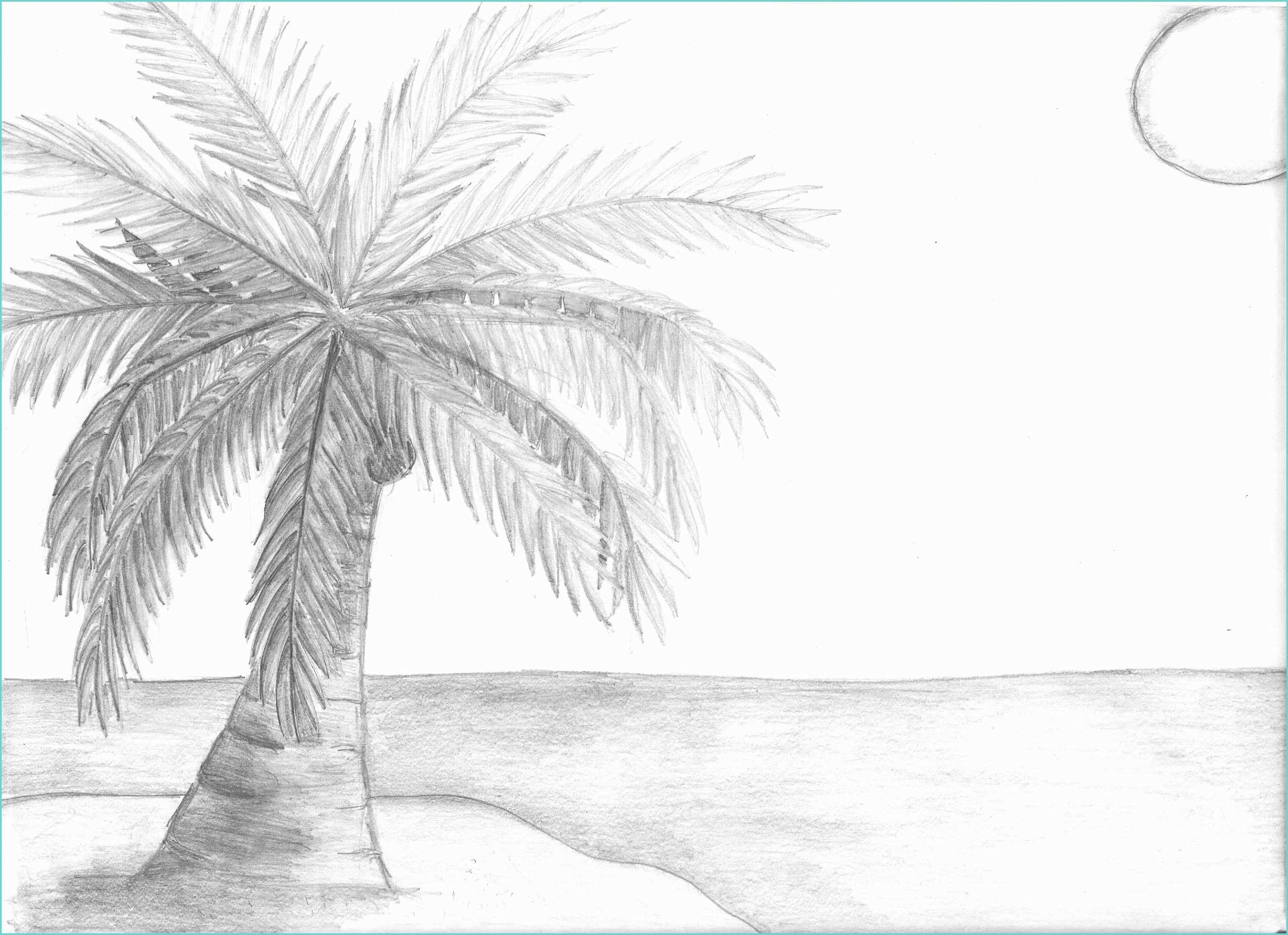 Coconut Tree Drawing Coconut Tree On the Beach by Bittersweet08 On Deviantart