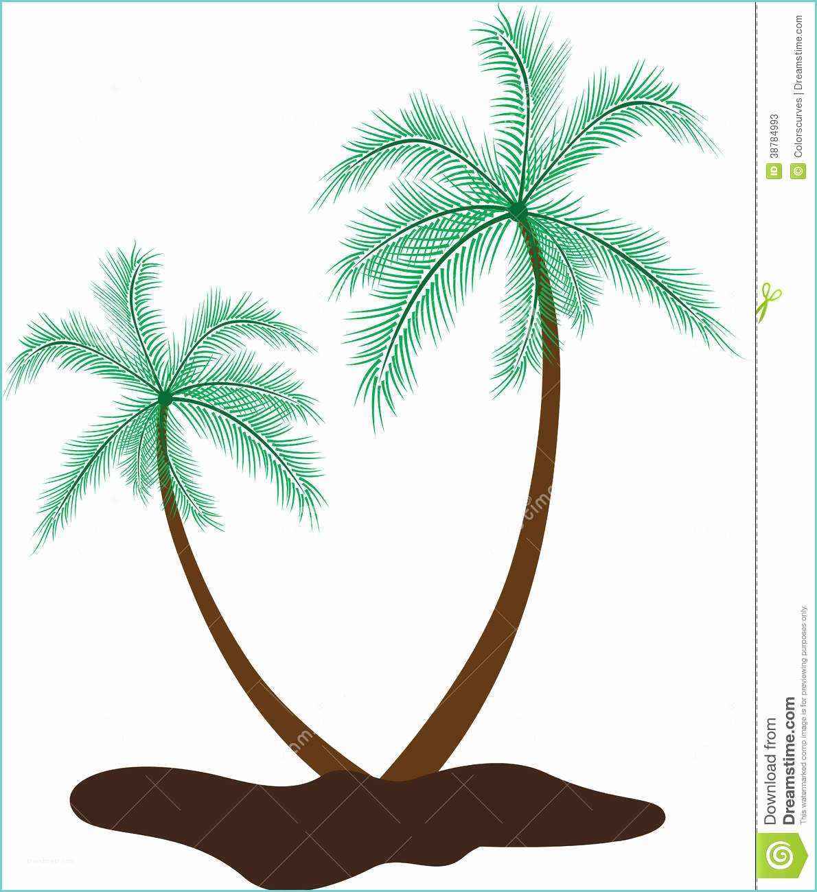 Coconut Tree Drawing Coconut Tree Stock Vector Illustration Of island Green