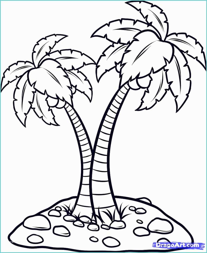 Coconut Tree Drawing Drawing Coconut Tree How to Draw An island Step Step
