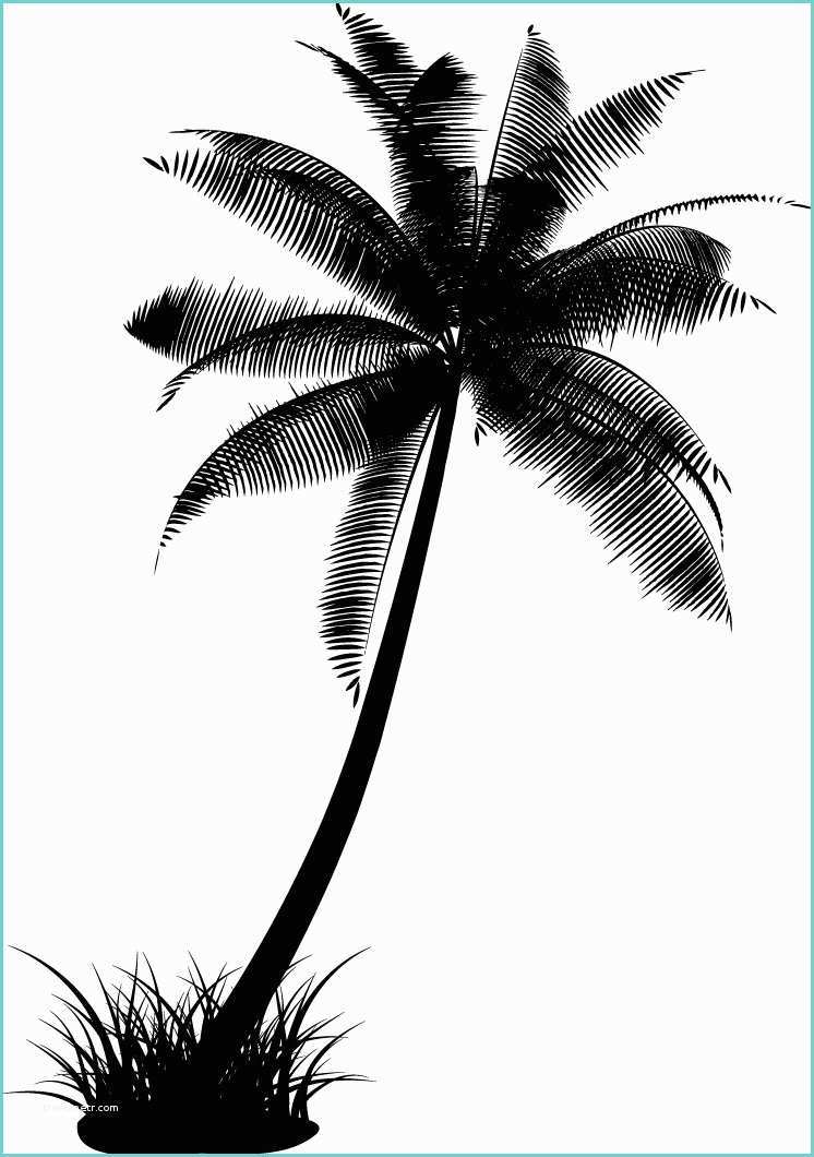 Coconut Tree Drawing Free Coconut Tree Drawing Download Free Clip Art Free