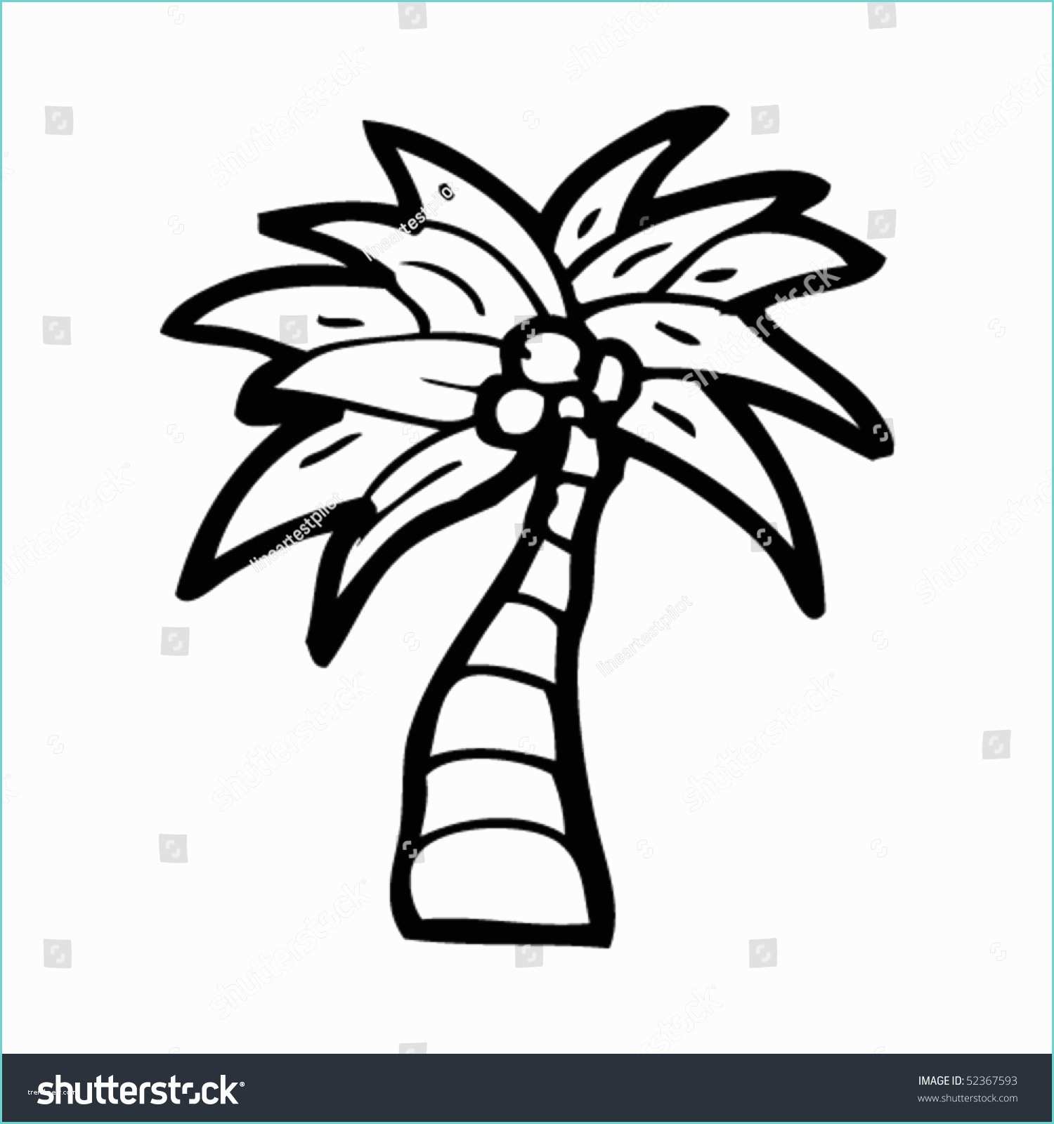 Coconut Tree Drawing Quirky Drawing Coconut Palm Tree Stock Vector