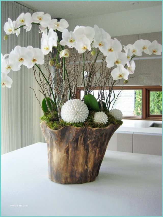 Composition Florale Avec orchidee Décoration Florale Idéale L’orchidée Chez Vous