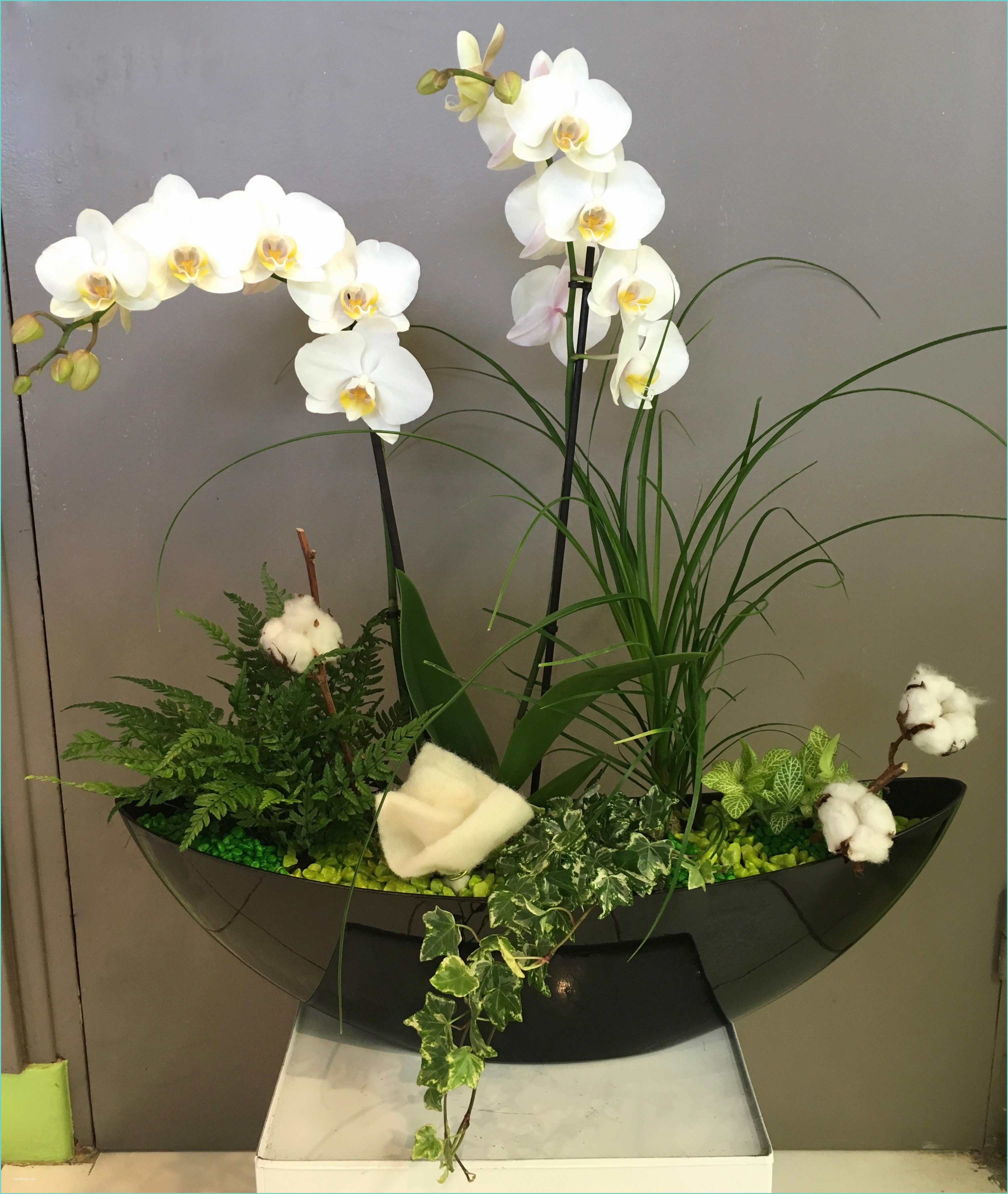 Composition Florale Avec orchidee Position Florale Dans Vase Transparent Fashion Designs