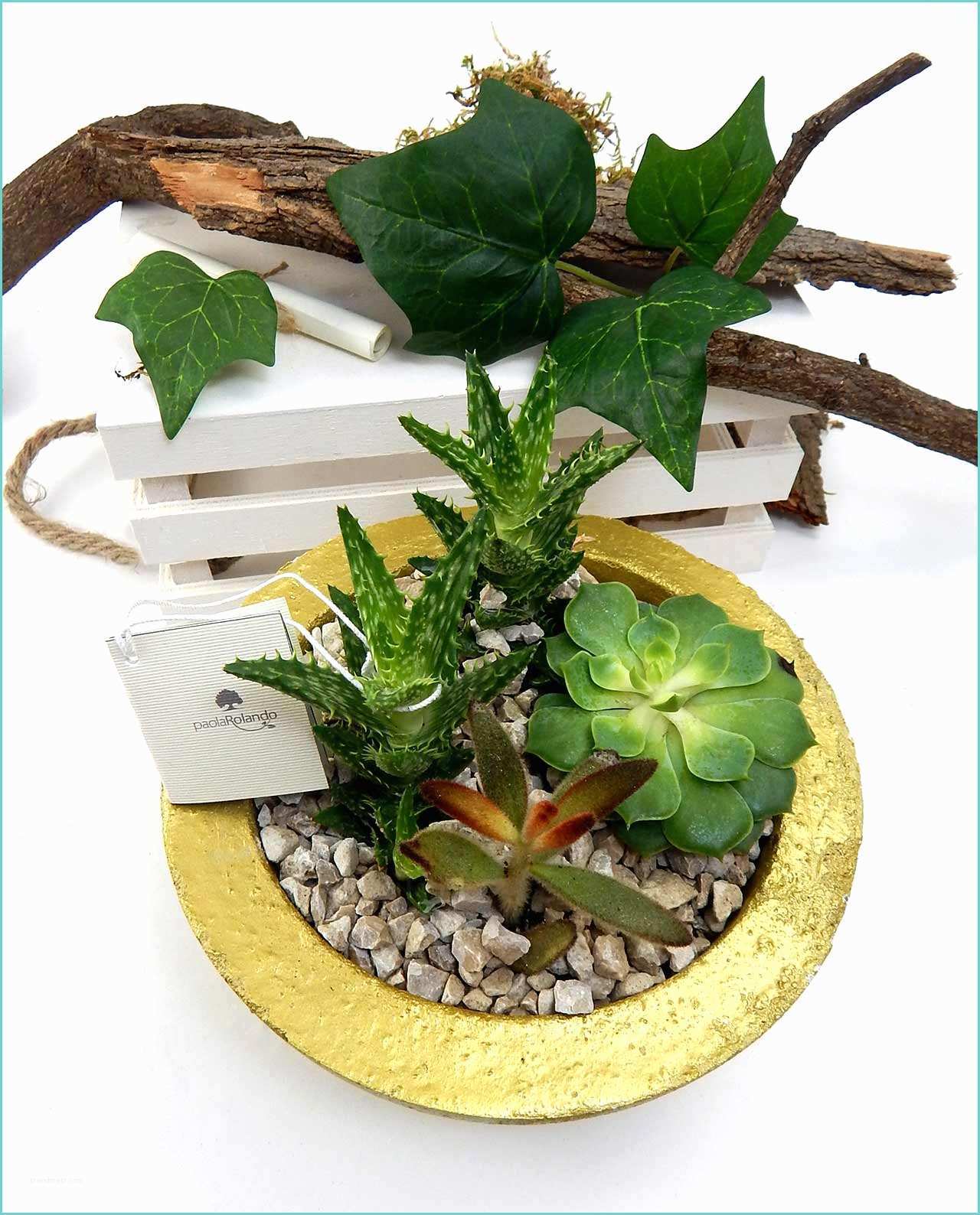 Composizione Piante Grasse In Vaso Bomboniera Posizione Piante Succulenti Con Vaso oro