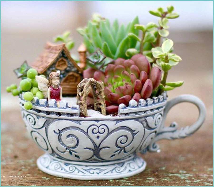 Composizione Piante Grasse In Vaso Decorare Con Le Succulente