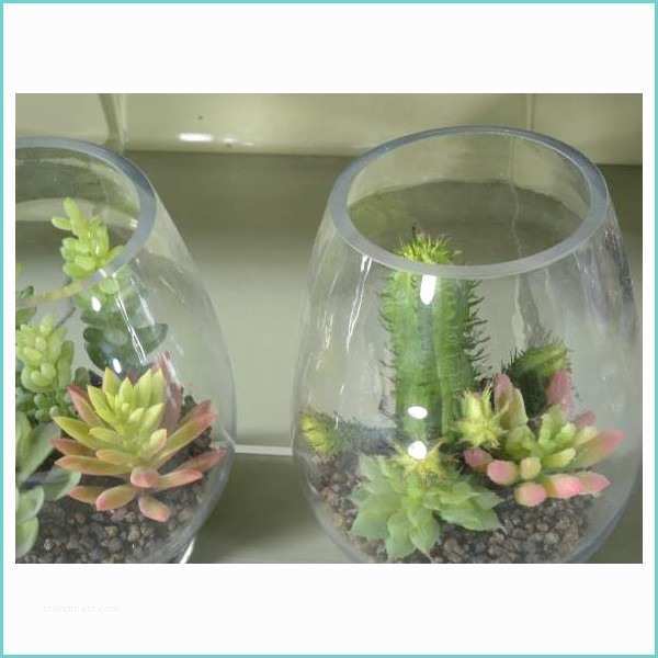 Composizione Piante Grasse In Vaso Posizione Di Piante Grasse Artificiali In Vaso Di Vetro