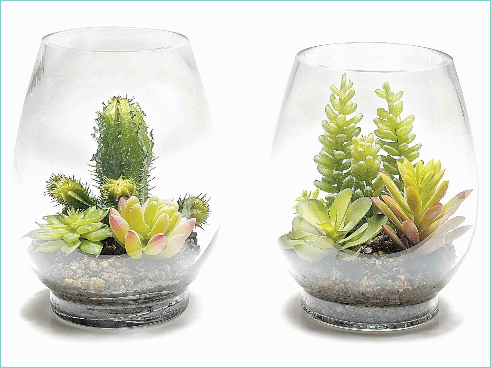 Composizione Piante Grasse In Vaso Posizione Di Succulente Piante Grasse Artificiali In